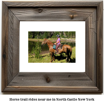 horse trail rides near me in North Castle, New York